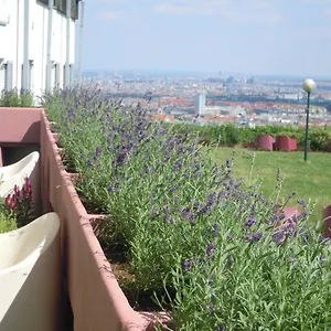 Ostello Palace, Vienna